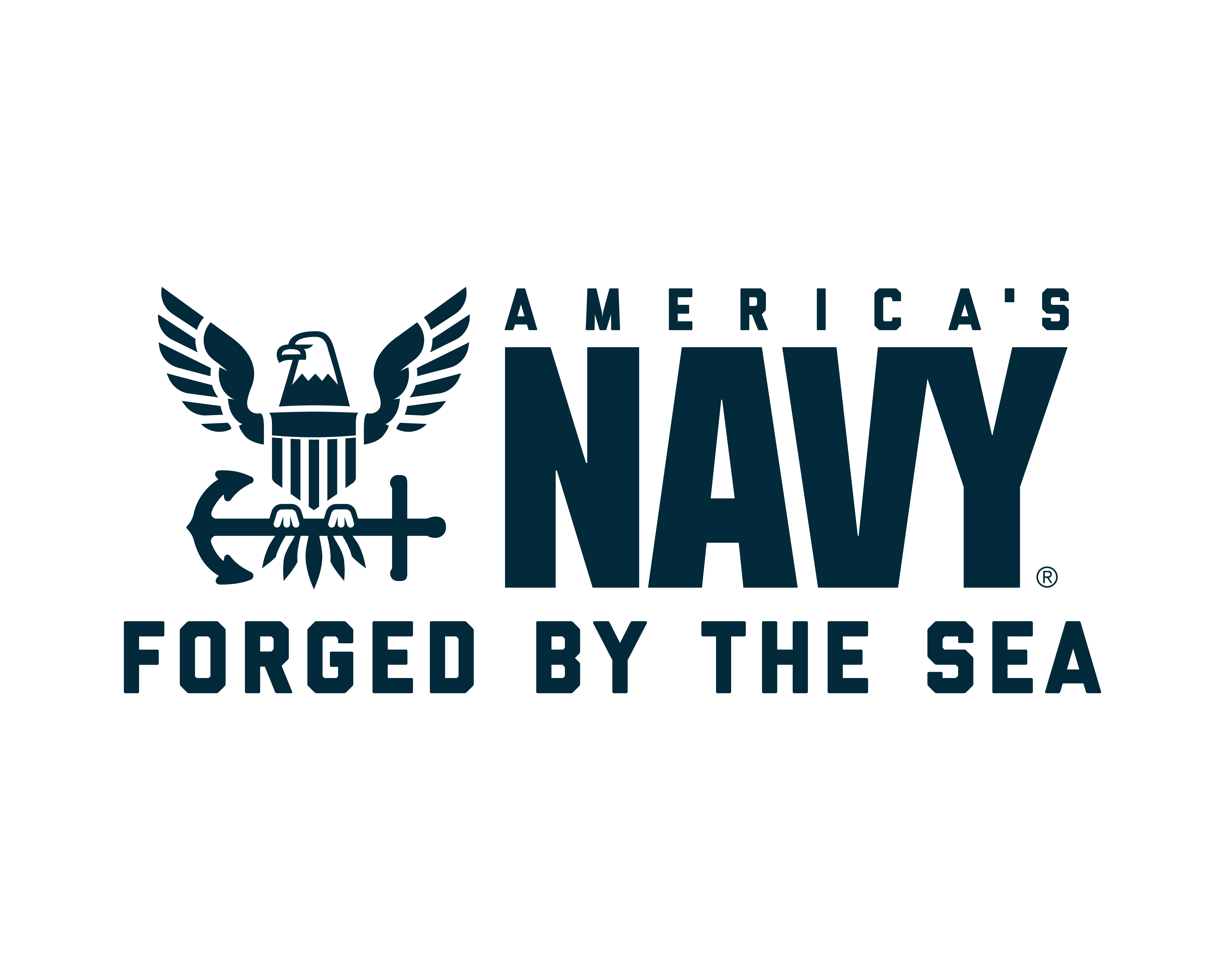 AmericasNavy LogoSystem MASTER  RGB 05 LU EagleLogoTag Navy