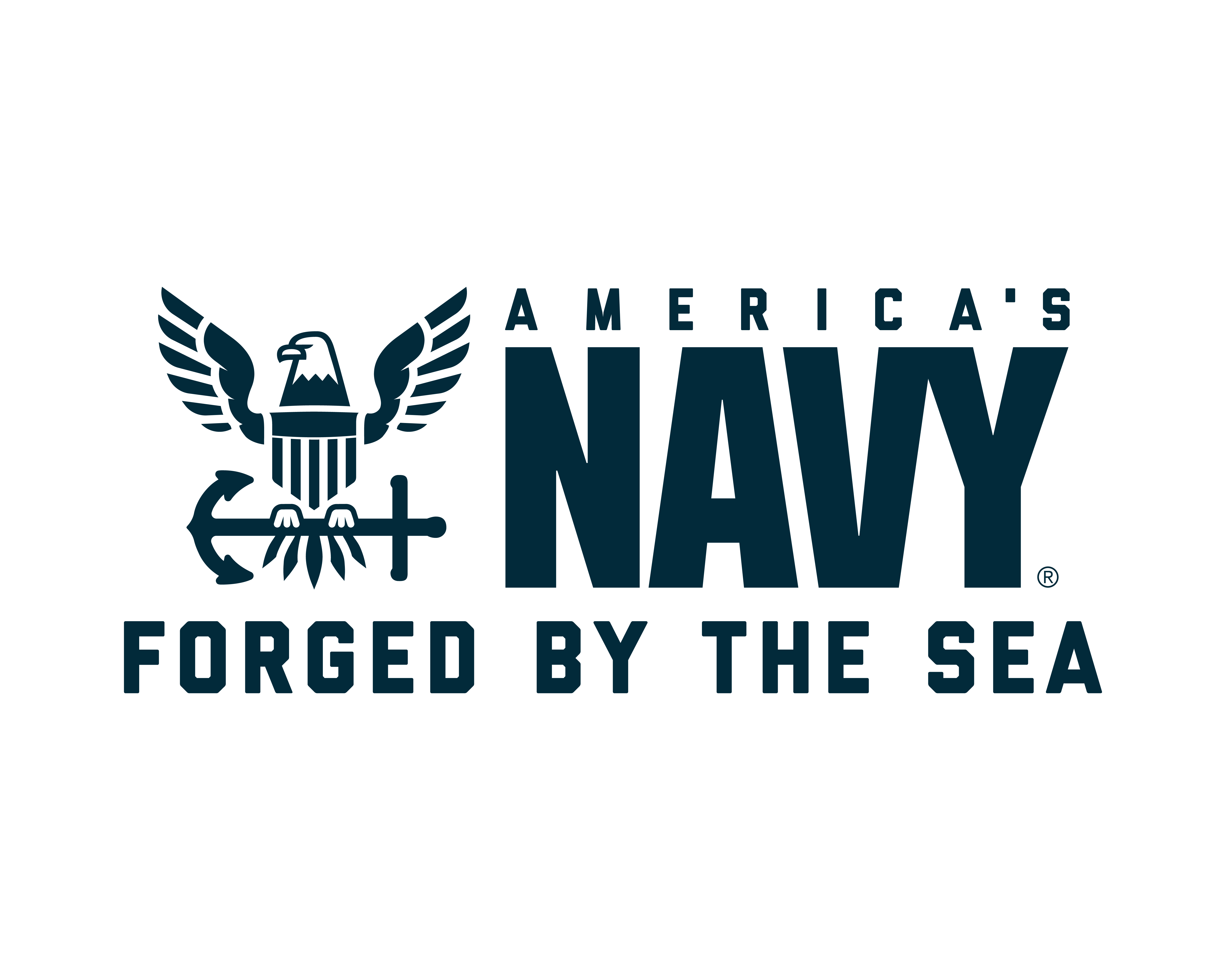 AmericasNavy LogoSystem MASTER RGB 01 Logo White